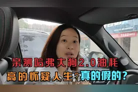 提车一个月，亲测哈弗大狗2 .0T油耗，都说油耗高的离谱，真的吗视频封面