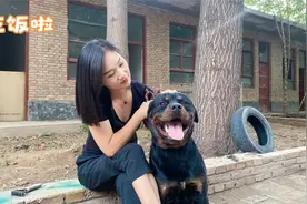 夏天狗狗不爱吃饭该怎么办？这几步做下来，让狗狗爱上吃饭视频封面
