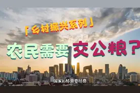 【乡村振兴系列】农民为什么不交公粮了(上)视频封面