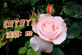 BY2《爱丫爱丫》这首出道即是巅峰,太好听了,再度掀起回忆杀