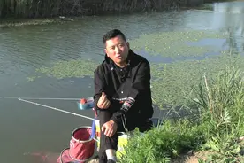 要想钓好鱼饵料状态很关键，掌握这些开饵技巧，连竿爆护挺简单！视频封面