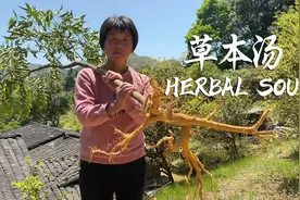 阿嬷挖6种中药草根，熬祖传草本汤，配上老鸭一锅炖清甜鲜美
