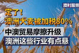 中国对澳洲大麦加征关税，澳洲这些行业有点悬视频封面