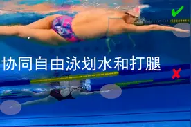 自由泳打腿贡献推进力要与划水完美配合，你意识到这个问题了吗？视频封面