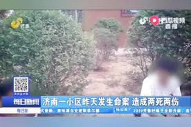 济南发生家庭惨案，亲妹夫因房子增值，持菜刀将姐姐姐夫活活砍死视频封面