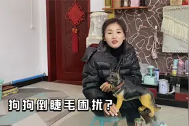 你家狗狗有没有受倒睫毛的困扰？佳佳教你几招，轻松解决问题视频封面