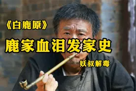 《白鹿原》原著：鹿家血泪发家史视频封面