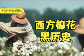西方抵制新疆棉花，来自于他们自己的黑历史视频封面