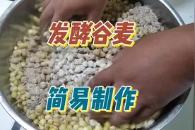 发酵玉米最简易制作方法，大板鲫鲤鱼都爱吃，成本不能再低了视频封面