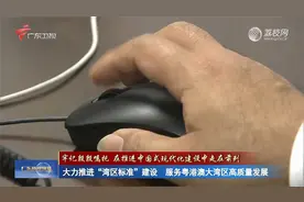 大力推进“湾区标准”建设 服务粤港澳大湾区高质量发展视频封面