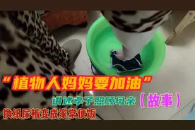 纪录片：讲述孝子4年照顾瘫痪母亲"故事"换尿裤变成了家常便饭视频封面