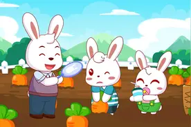 兔小贝儿歌：小兔子拔萝卜，拔拔拔拔拔萝卜，埋在地里的萝卜视频封面