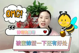 被蜜蜂蜇了竟有好处！老中医道出蜂毒的神奇！视频封面