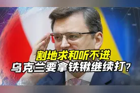 “割地求和”听不进，乌克兰拿铁锹都要继续打？欧美或遭乌反噬视频封面