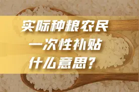 实际种粮农民一次性补贴什么意思？视频封面