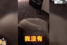 張恆脫序撕衣影片外流！鄭爽冷回「只知道不珍惜三個字」视频封面