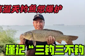 高温天钓鱼想爆护，谨记“三钓三不钓”，轻轻松松钓好鱼