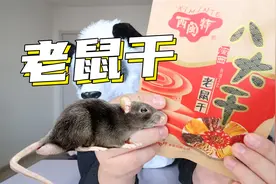 老鼠肉竟然是福建人的小零嘴？
