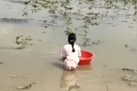 11岁女儿叛逆不肯读书，爸爸让她烈日下挖藕4小时：心疼也要忍住视频封面