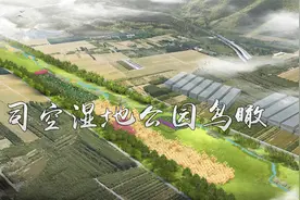 【司空侠PS教程】北方湿地鸟瞰景观植物规划效果图制作过程详解视频封面