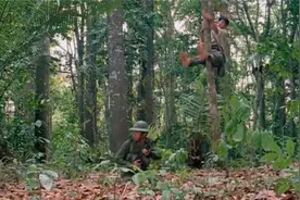 东方秃鹰：这才叫顶尖杀手，摘花飞叶杀人于无形，让人防不胜防视频封面