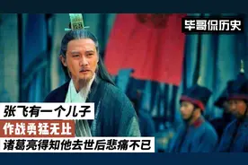 张飞有一个儿子，作战勇猛无比，诸葛亮得知他去世后悲痛不已视频封面