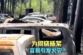 河南一男子无聊点燃杨絮，烧毁30多辆汽车，还有烧80多辆大客车的视频封面
