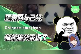 熊猫人脸表情包竟风靡国外？奇葩的文化输出，让外国网友三观尽歪