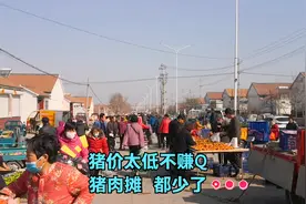 山东潍坊大集猪肉跌价太厉害，越便宜越没人买，潍县萝卜也降价了视频封面