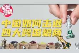 粮食多空战：中国破局四大跨国粮商的阳谋！视频封面