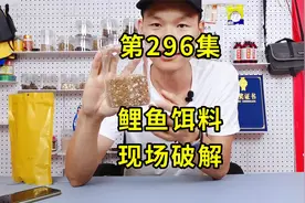 爆护的野钓鲤鱼饵料怎么制作？现场调整鲤鱼饵料配方，简单又好用视频封面