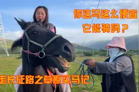 现在到草原上买一匹马要多少钱？听到价格我兴奋了！视频封面