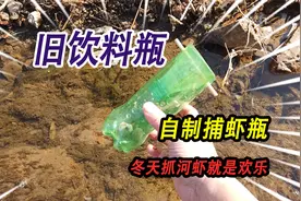 冬天抓河虾有妙招，用小抄网抓河虾欢乐多，旧饮料瓶改装捕虾神器