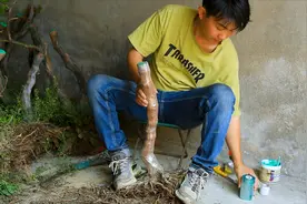 拆迁果园移栽的葡萄树预处理，花无缺：掌握这三点葡萄移栽成活好视频封面