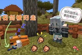 我的世界：这有点难搞！狐狸竟叼走爆爆钻石剑，多亏鸡仔献身！