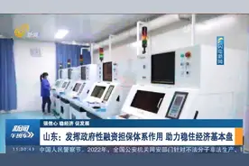 山东：发挥政府性融资担保体系作用，助力稳住经济基本盘