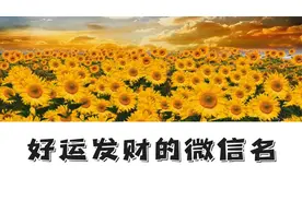 好运发财的微信名视频封面