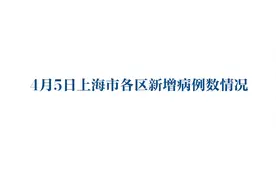 4月5日上海市各区新增病例数情况视频封面