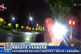 杭瑞高速九江瑞昌段：喝酒的没开车 开车的都没驾照视频封面