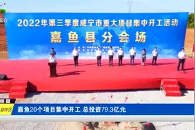 嘉鱼20个项目集中开工 总投资79.3亿元视频封面