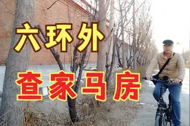 骑上单车瞎转悠，大兴六环外的查家马坊村，村里还有个篮球视频封面