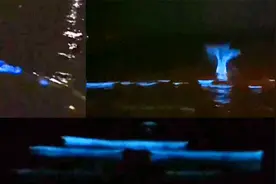 辽宁葫芦岛现蓝色荧光海！波浪自带光芒照亮海滩，游客彻夜观奇景视频封面