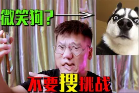 挑战搜索网上禁搜的词，这是传说中的微笑狗，据说看了会睡不着觉视频封面