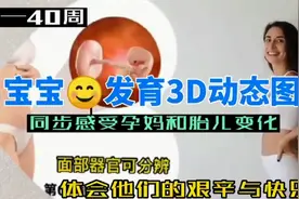 第十三集：1-40周宝宝发育3D动态图,同步感受孕妈胎儿变化视频封面