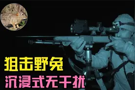 外国打猎高手用高清夜视仪远距离狙击狩猎野兔纪录片视频封面