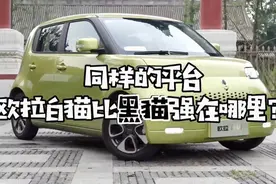 同样的平台，欧拉白猫比黑猫强在哪里？视频封面