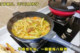 299入的不粘锅，一锅抵8锅，蒸煎炸煮炒一锅搞定，用一次就爱上了视频封面