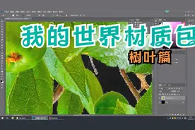 我的世界材质包制作实录——树叶篇