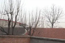 实拍天津刮大风了看看这风力有多猛？这风声证明了一切，太吓人了视频封面