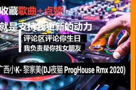 广西小K- 黎家美(DJ夜猫 ProgHouse Rmx 2020)